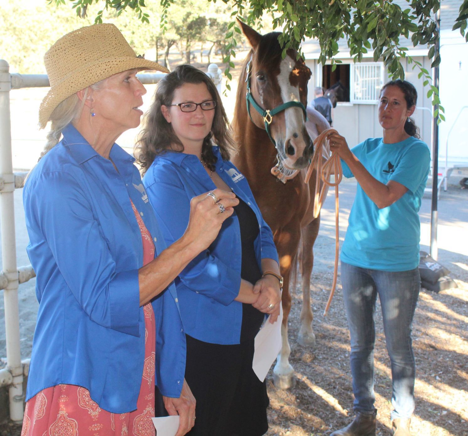 Veterinarians